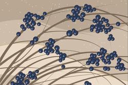 Menopausa: la carenza di vitamina D e il sovrappeso predispongono al mal di schiena